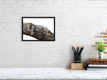 Load image into Gallery viewer, 9454108-3789949
