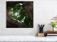 Load image into Gallery viewer, 9454110-3790037
