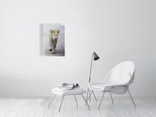 Load image into Gallery viewer, 9215749-3599651
