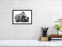 Load image into Gallery viewer, 9454114-3789985

