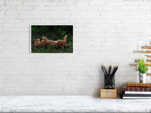 Load image into Gallery viewer, 9583488-3889786
