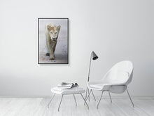 Load image into Gallery viewer, 9215749-3599655
