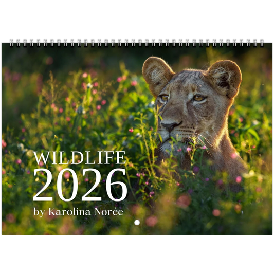 f915560f-46dd-4d4d-92cd-730d0b91a1db