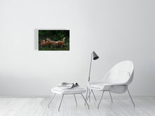 Load image into Gallery viewer, 9583488-3889787
