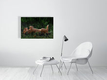 Load image into Gallery viewer, 9583488-3889788
