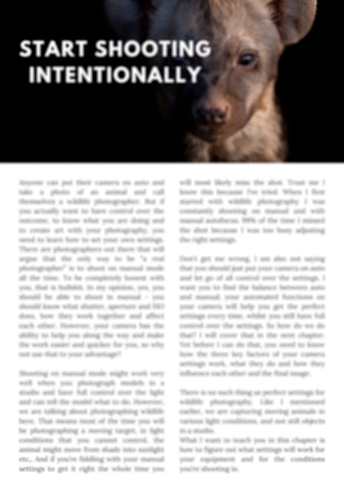 preview of intentional photography chapter in e-book