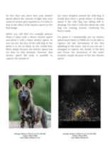 Load image into Gallery viewer, Wildlife Photography E-book - Guide for beginners
