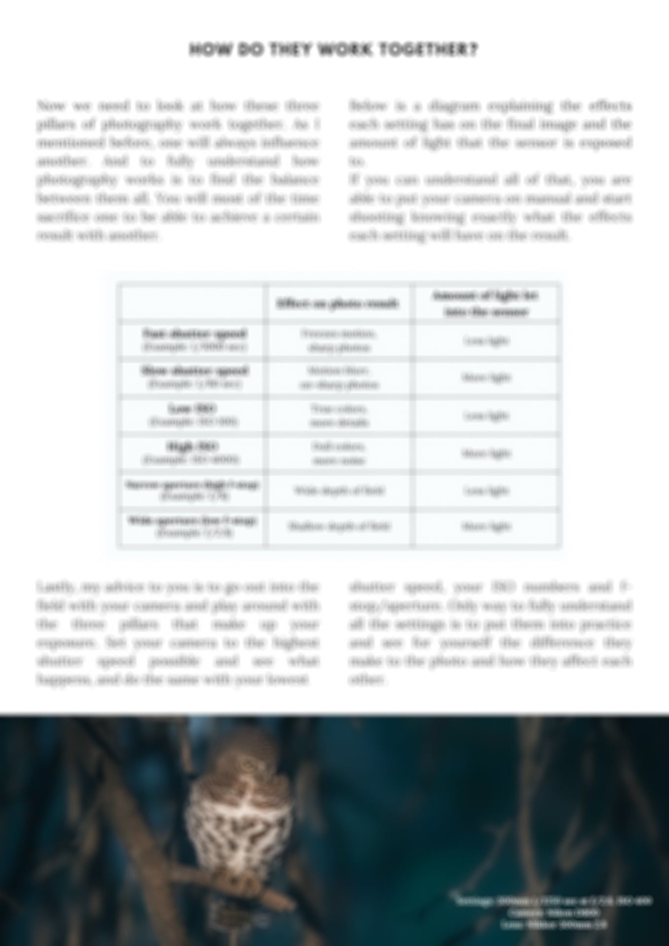 preview of summary page in wildlife photography guide
