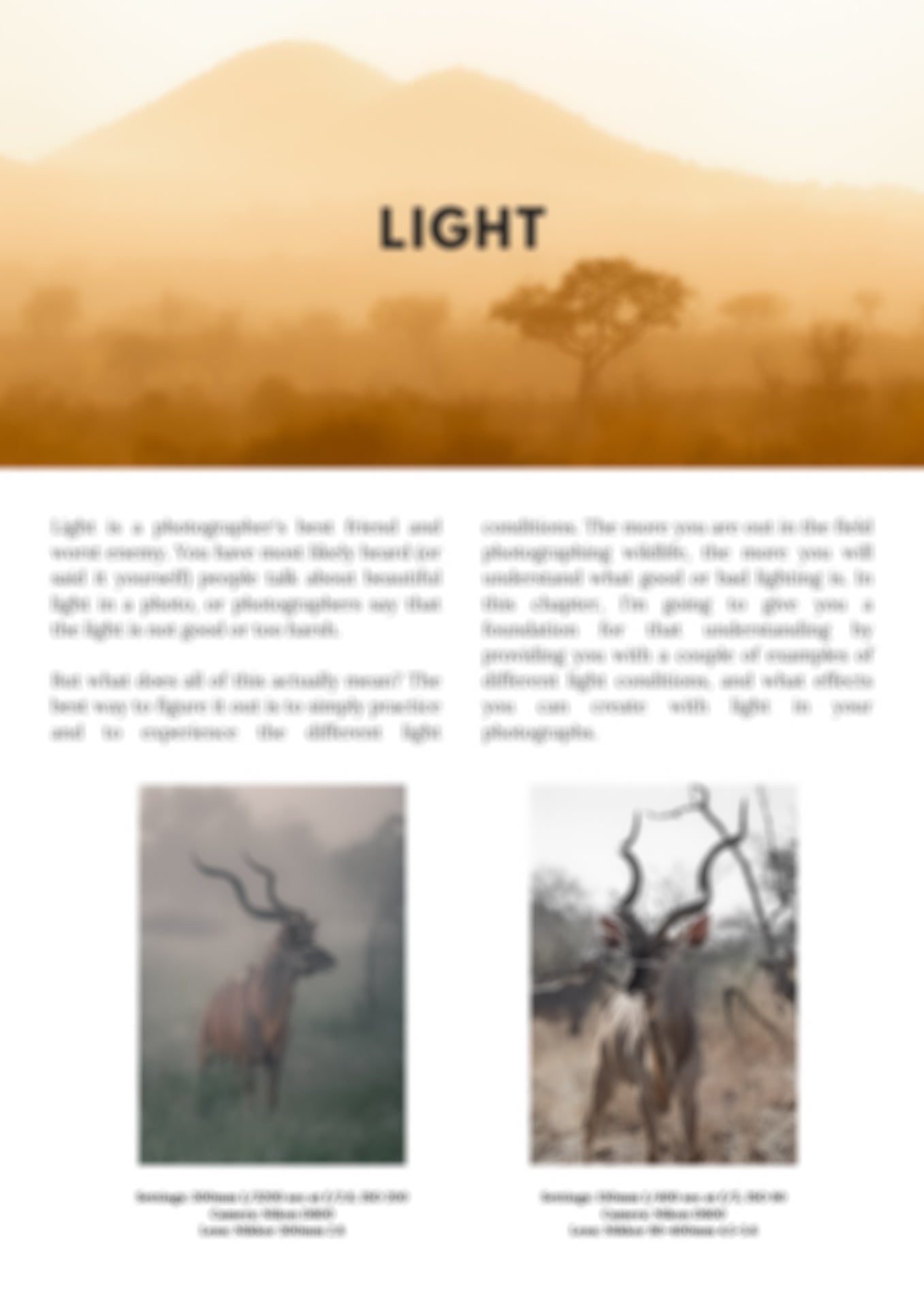 preview of using light chapter in the guide