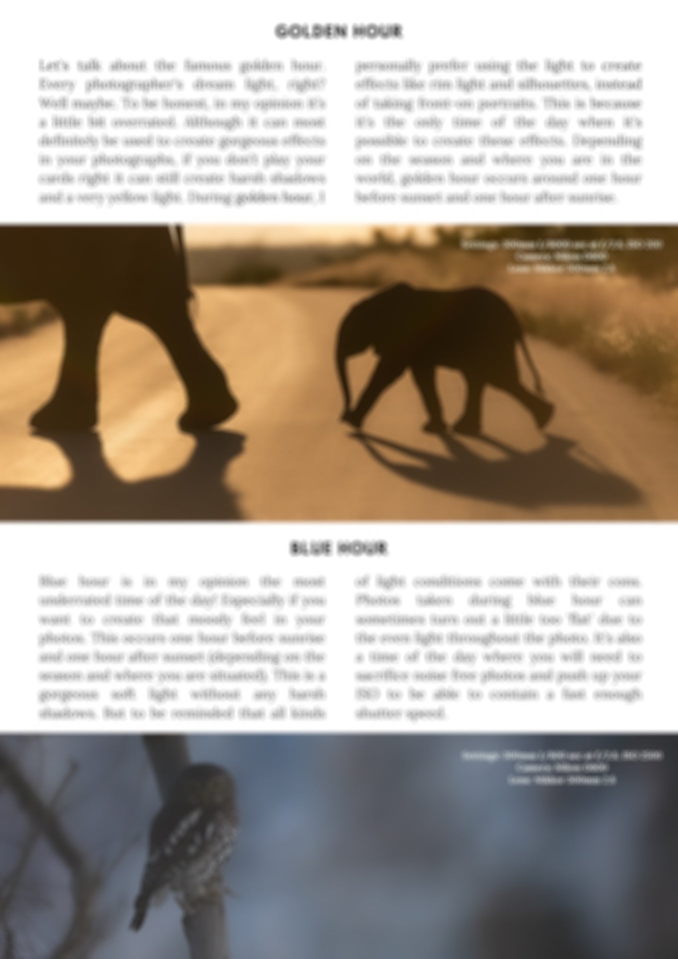 preview page in wildlife photography e-book