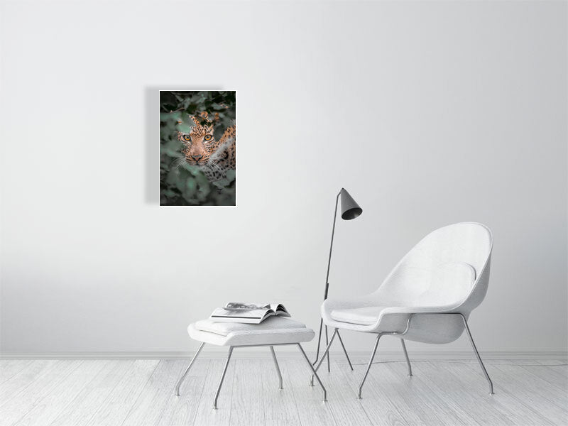 leopard print displayed on wall