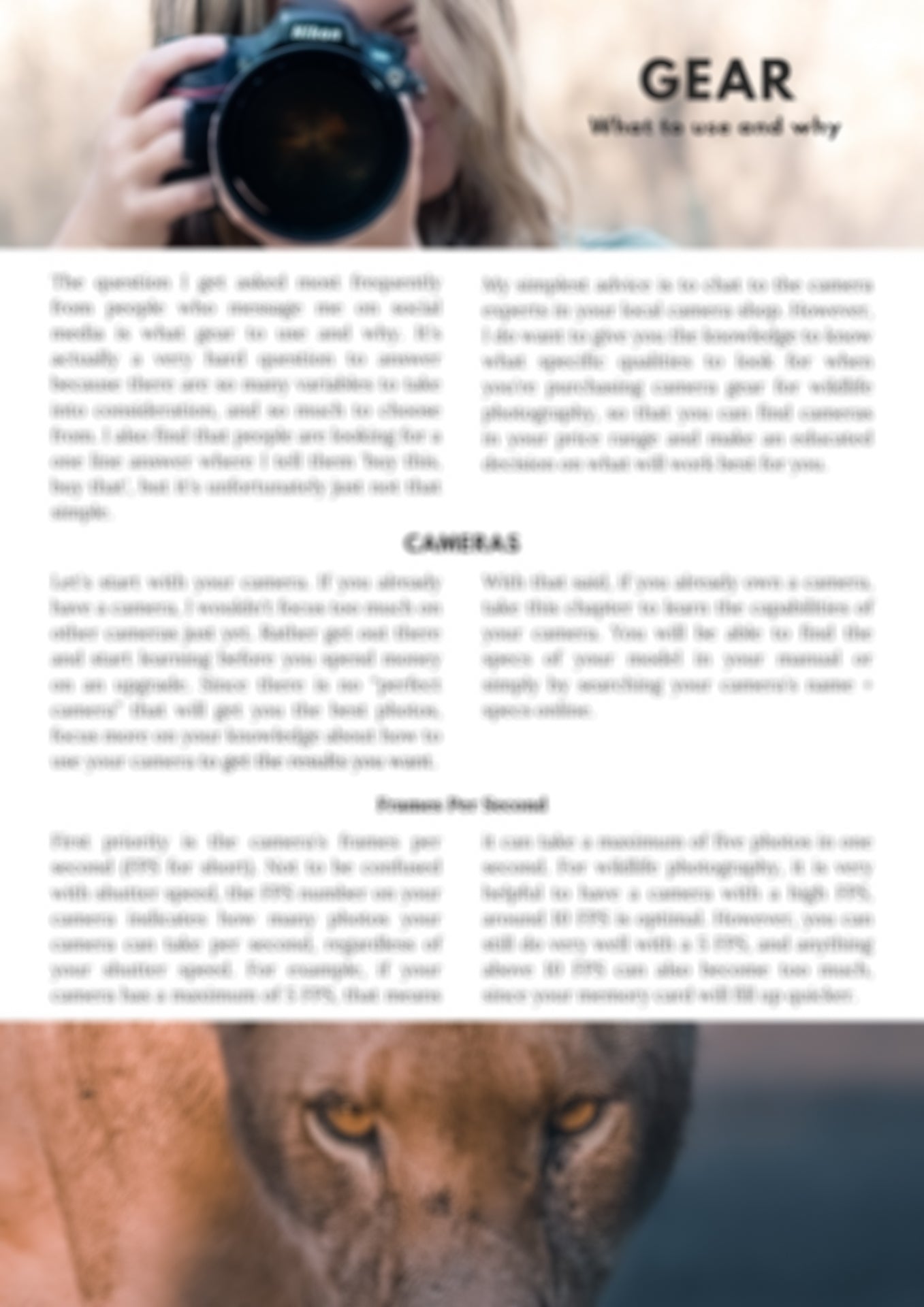 preview of photography gear section in e-book