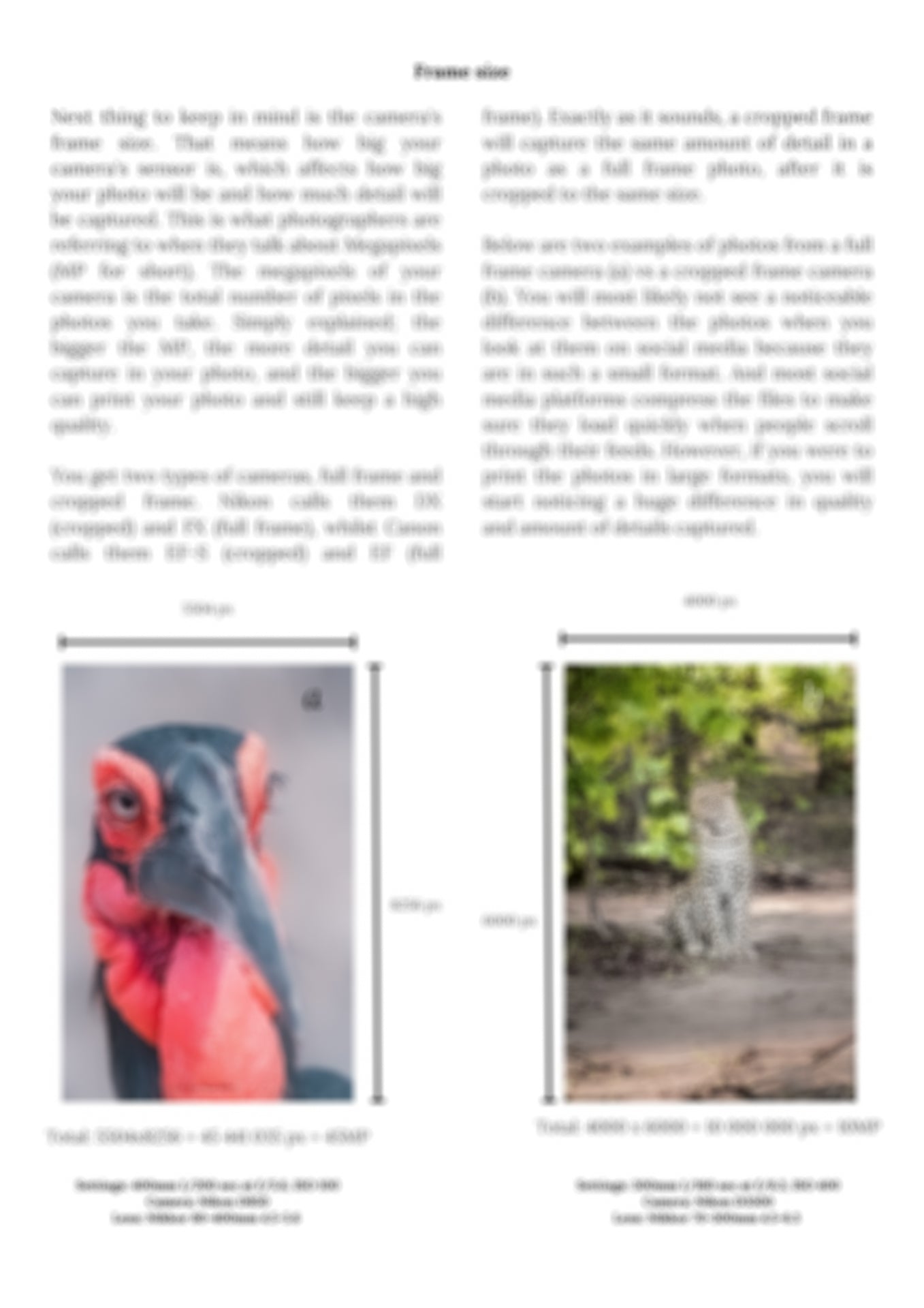 preview of framing and cropping page in guide