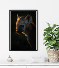 Load image into Gallery viewer, Golden Cub
