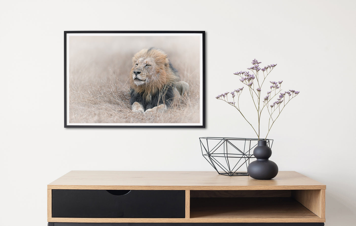 King in the Wind