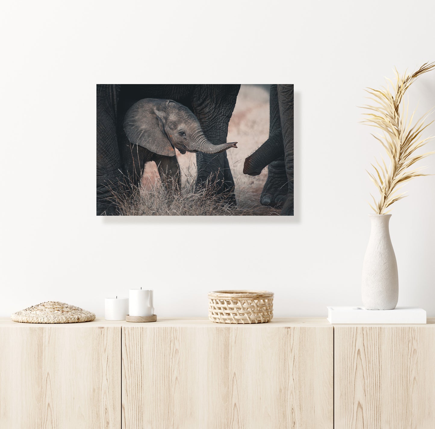 elephant print in living room