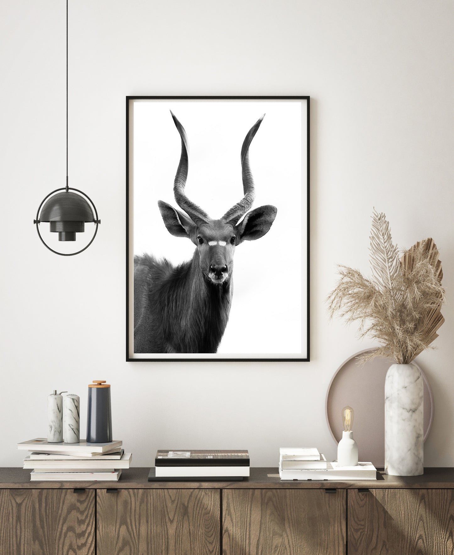 The Nyala