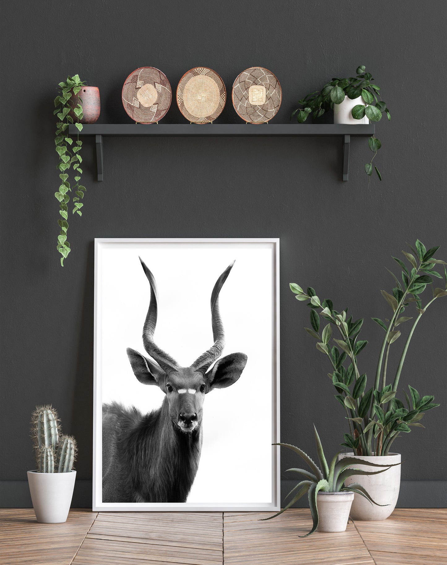 The Nyala