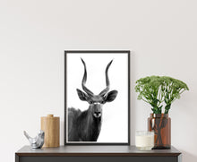 Load image into Gallery viewer, The Nyala
