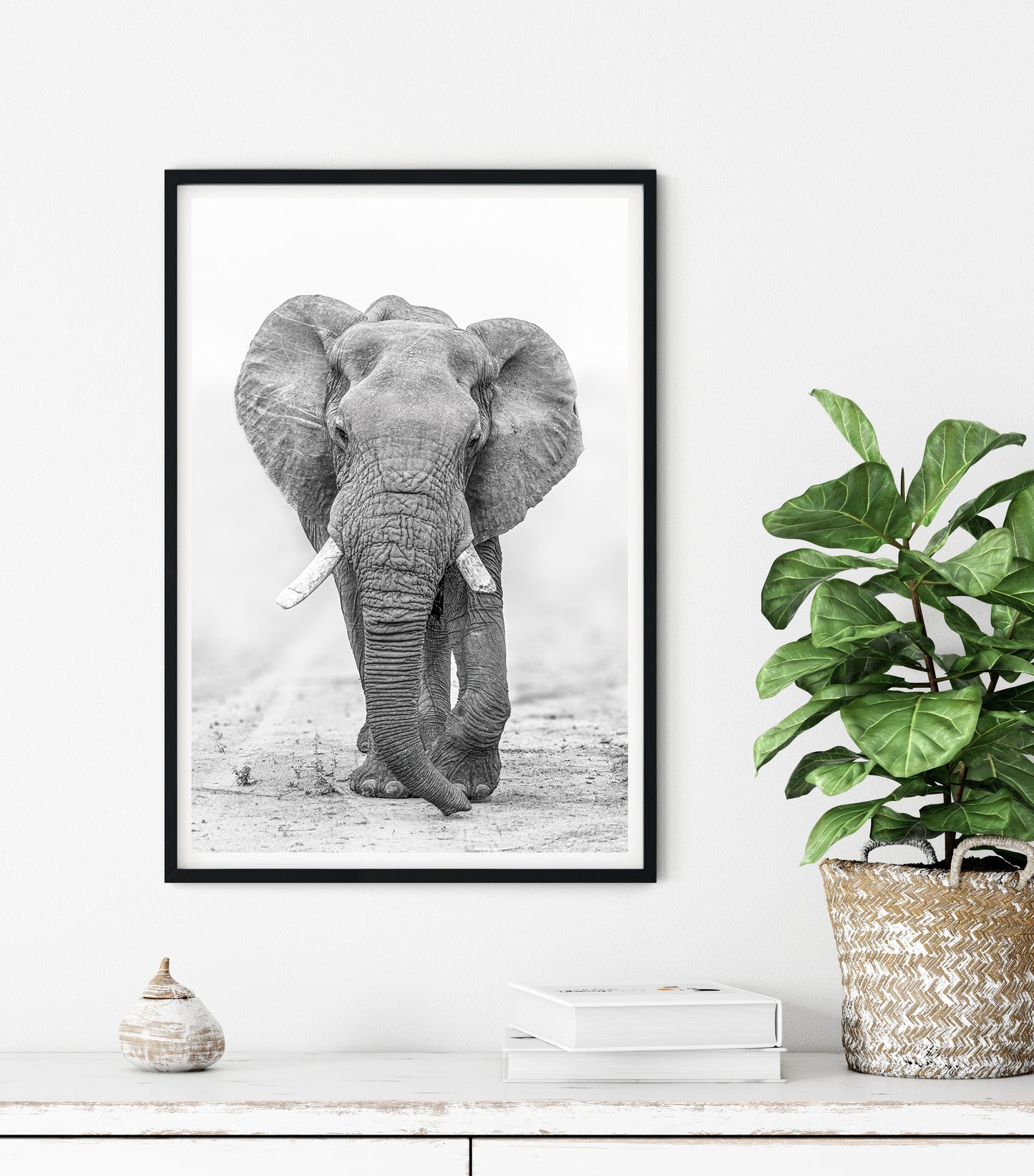 The Elephant In the Room