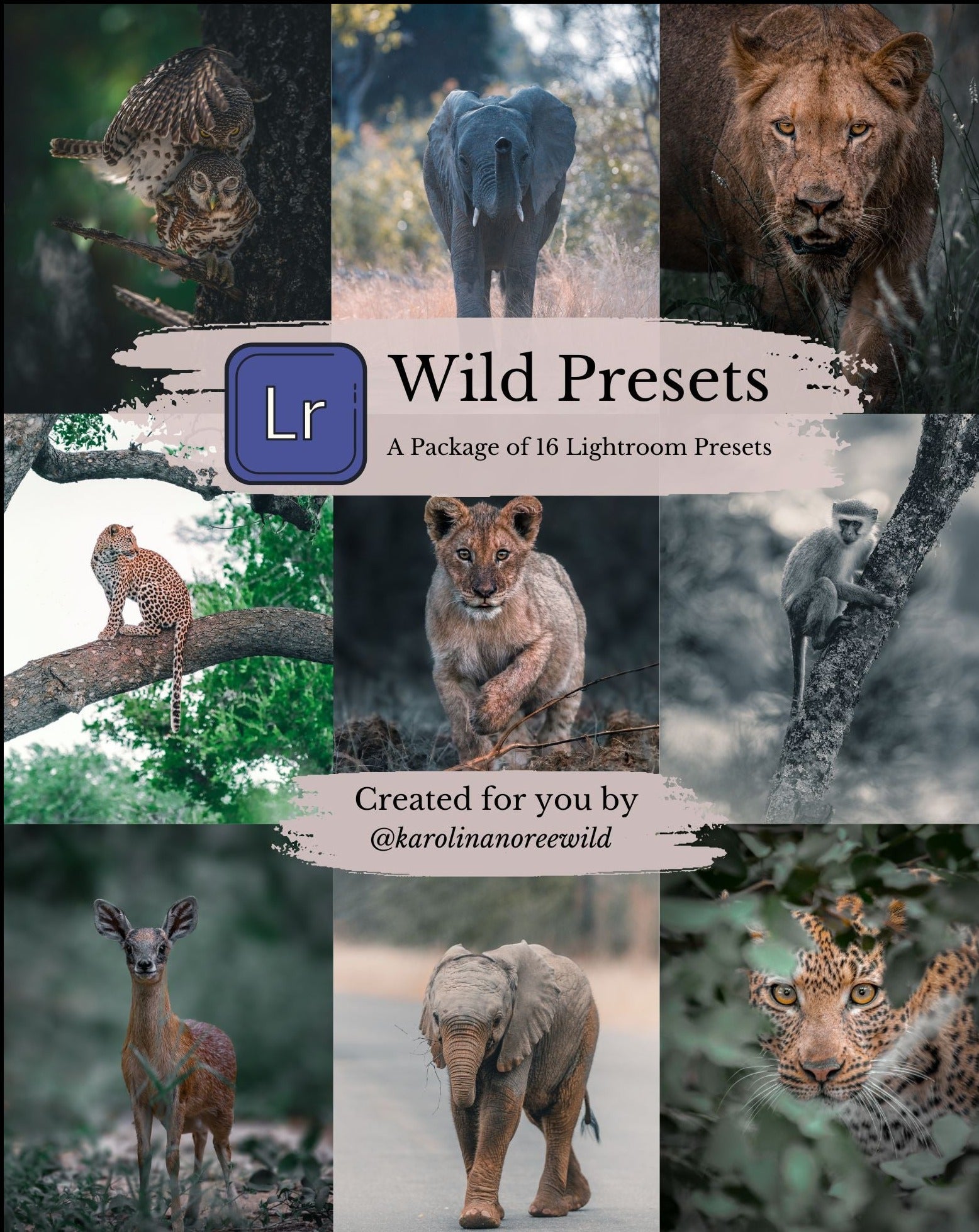 Wildlife photography lightroom presets cover