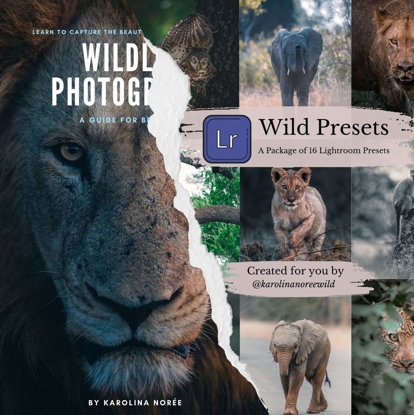 e-book and presets package cover