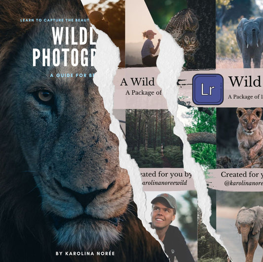 wildlife photography e-book and all presets package cover