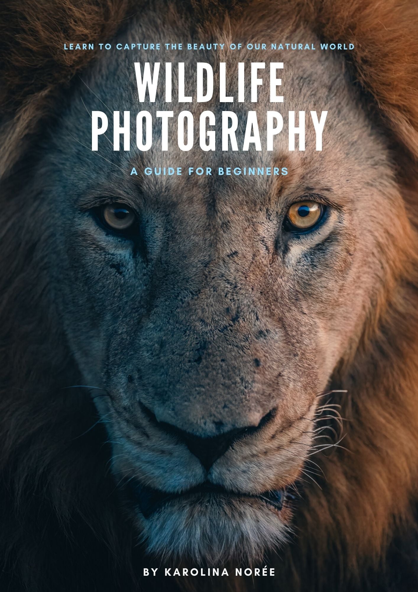 Wildlife photography beginner e-book guide cover