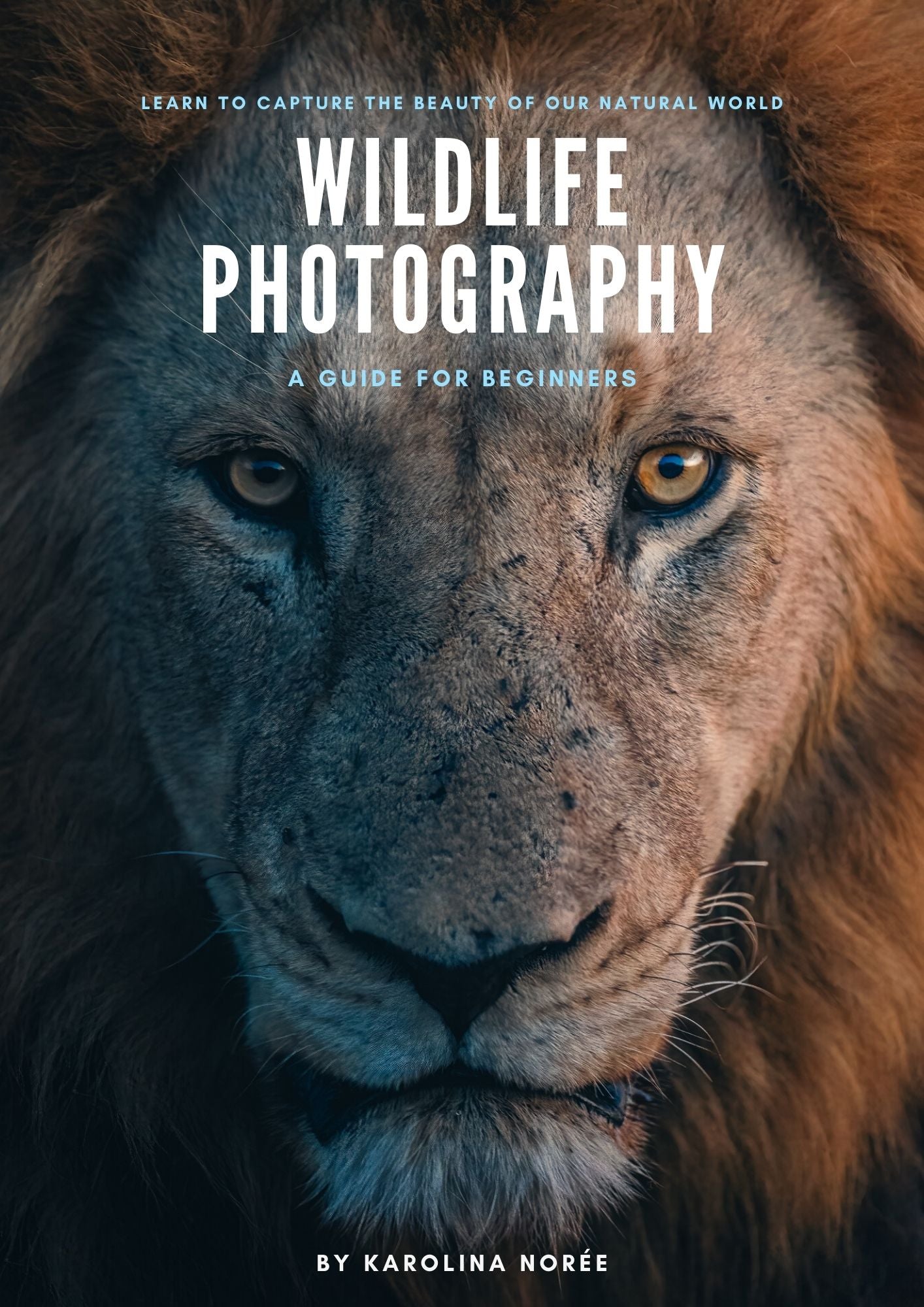 Wildlife Photography E-book - Guide for beginners
