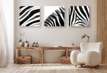 Load image into Gallery viewer, Zebra Patterns III
