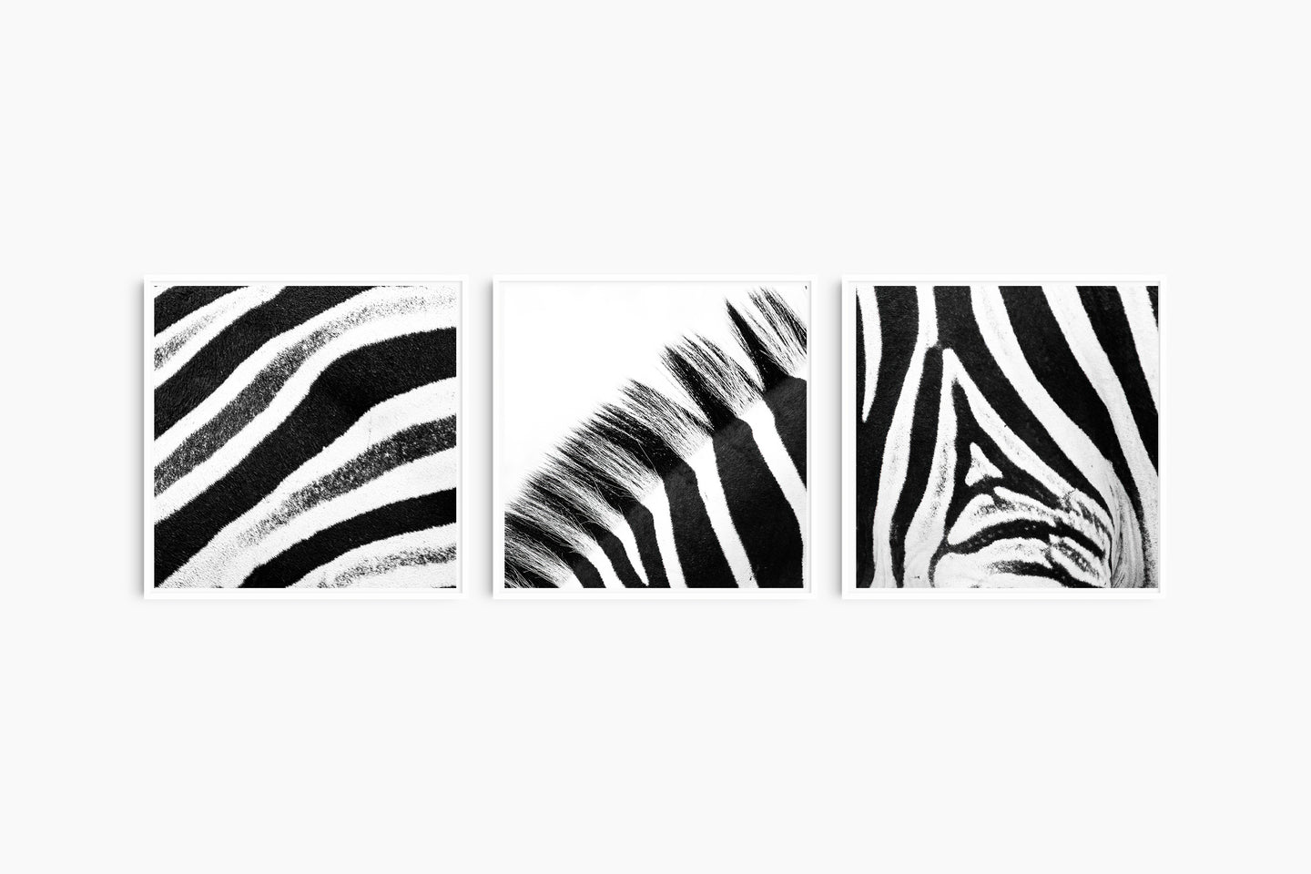 Zebra Patterns I
