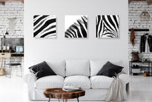 Load image into Gallery viewer, Zebra Patterns II

